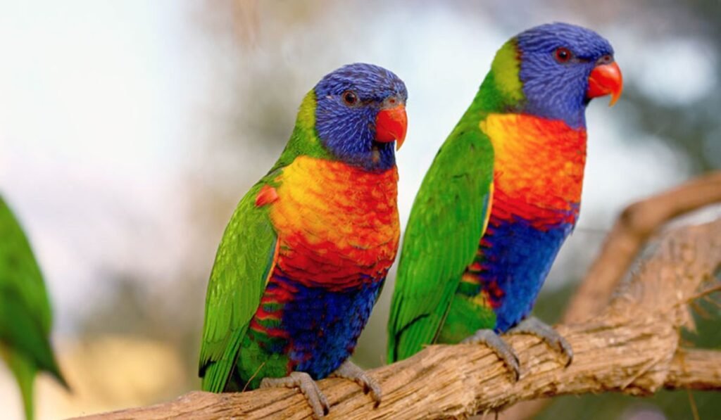 best-parrot-names