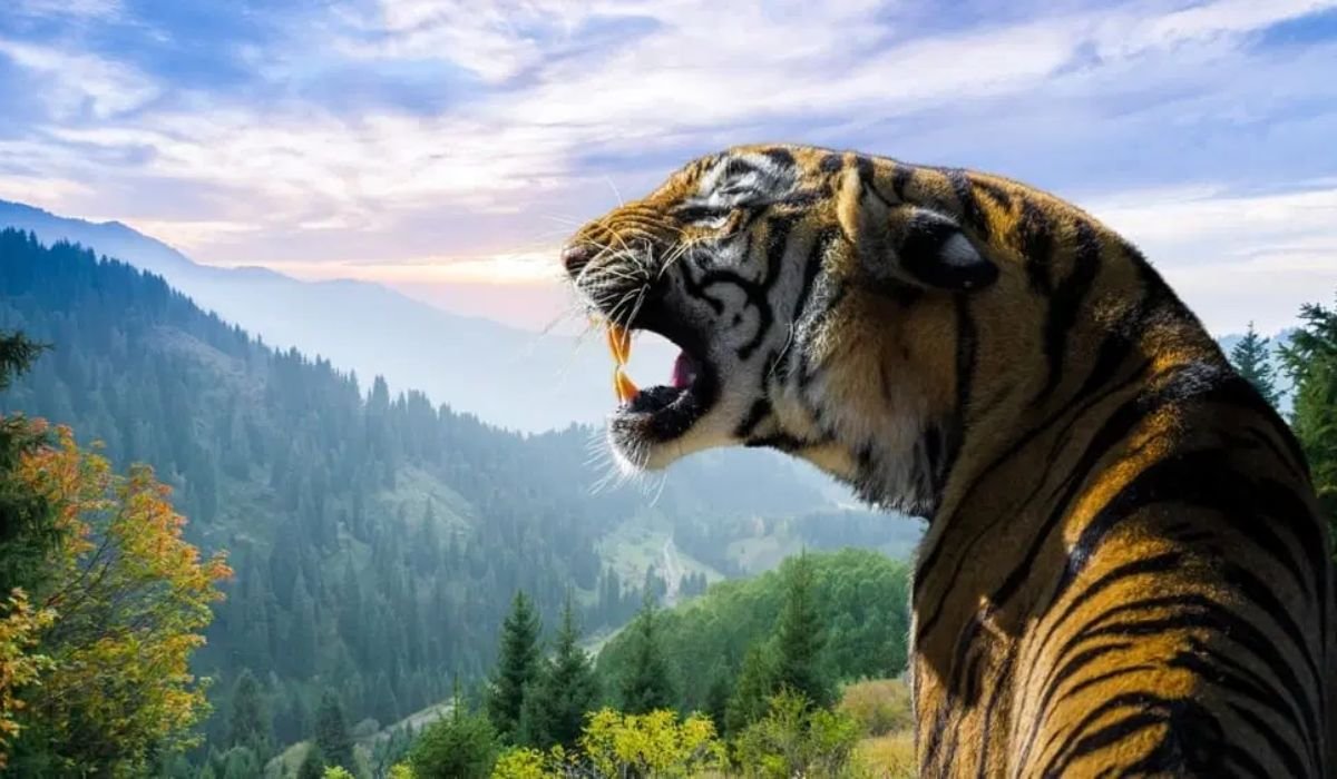 funny-or-cute-nicknames-for-tigers-with-meanings