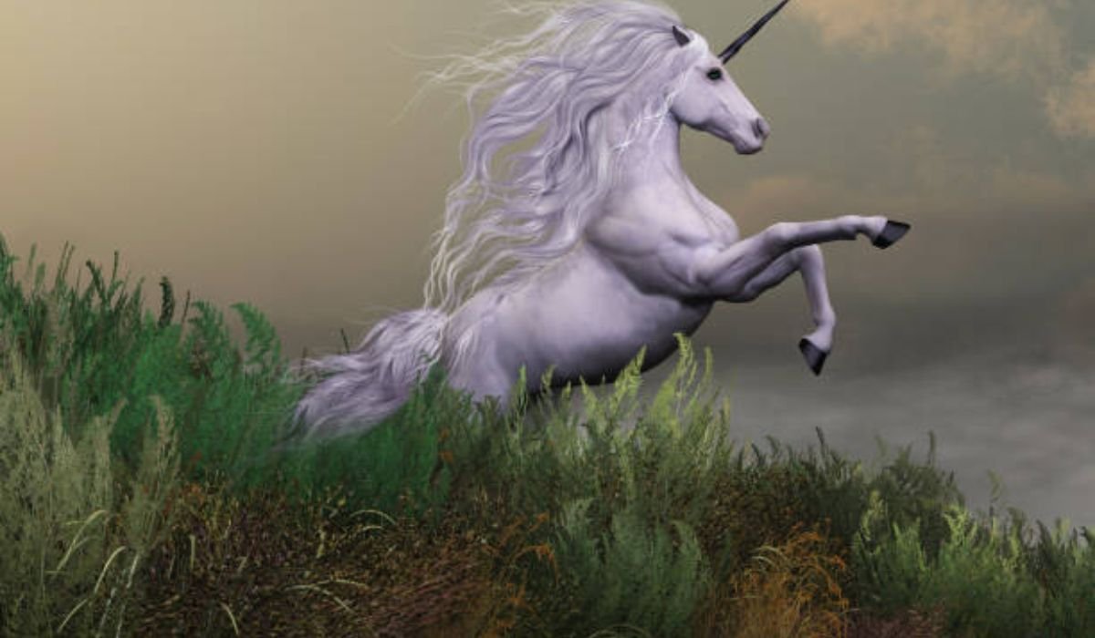 story-behind-unicorn-naming