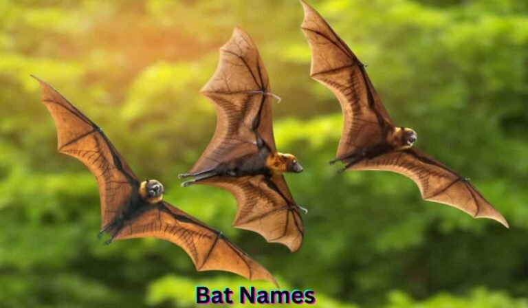 bat-names