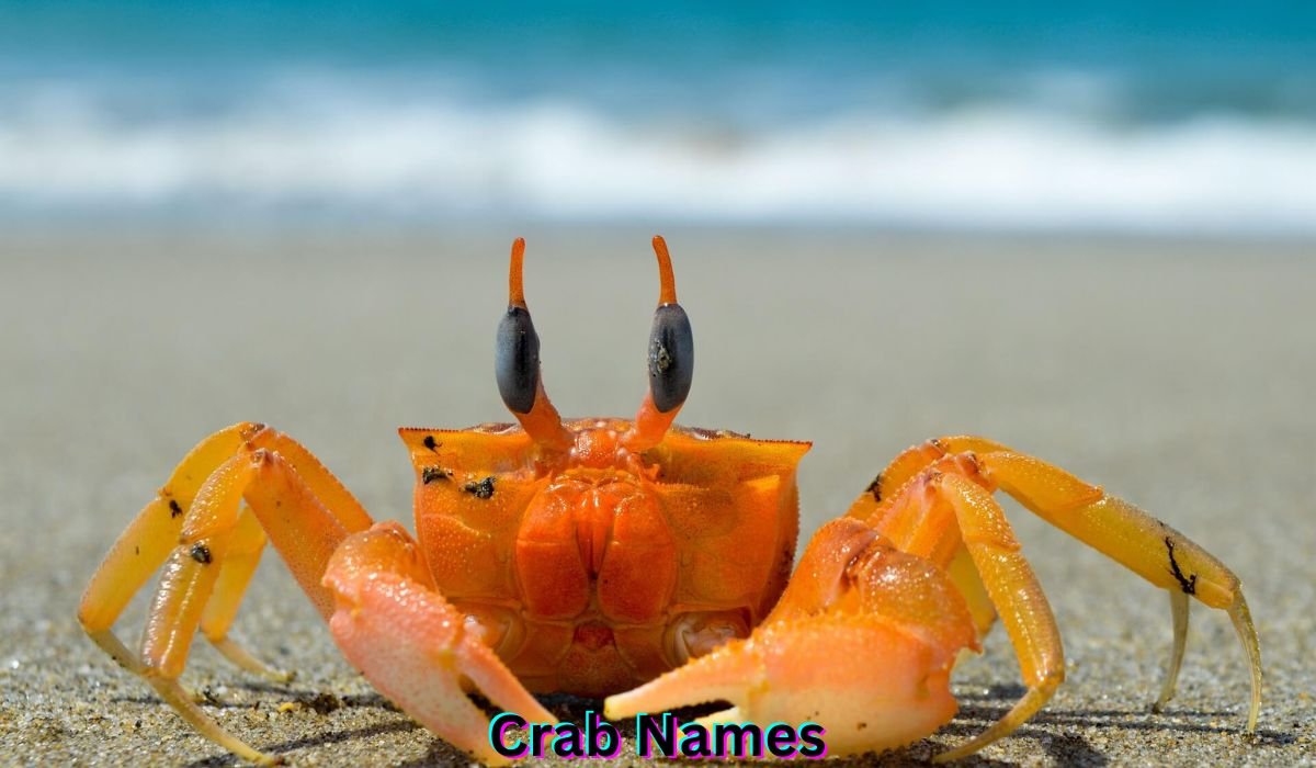 crab-names