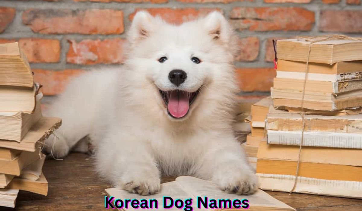 Korean Dog Names