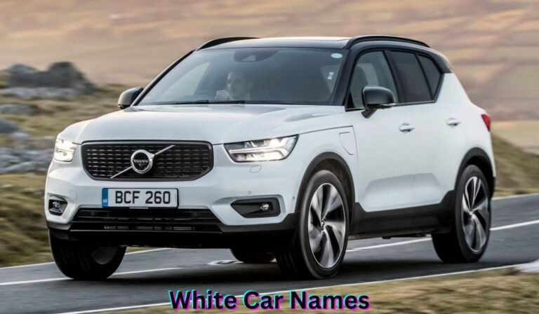 white-car-names